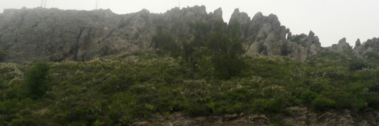 JessRuvalcaba1's profile banner image