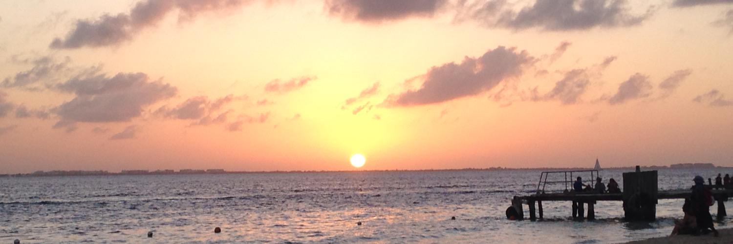 LayneAAnderson's profile banner image