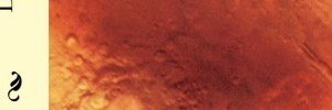 Habarcal's profile banner image