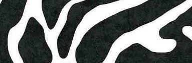 Nieves_Lorente's profile banner image