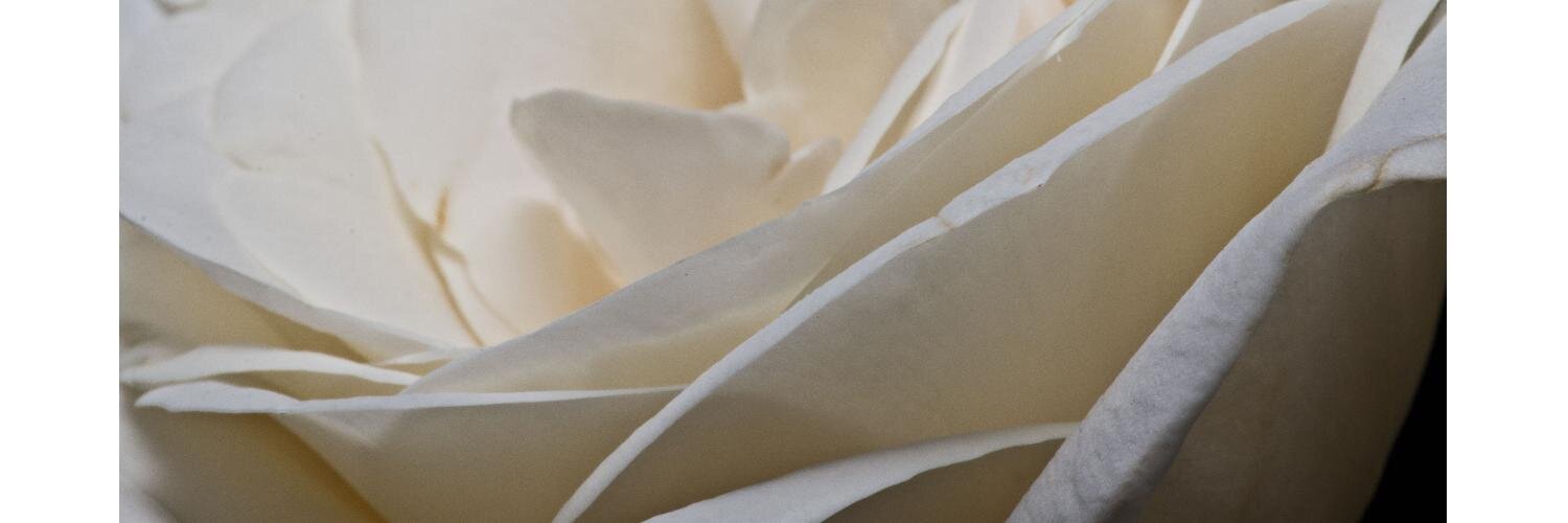 SAEIDALSHAMMARI's profile banner image