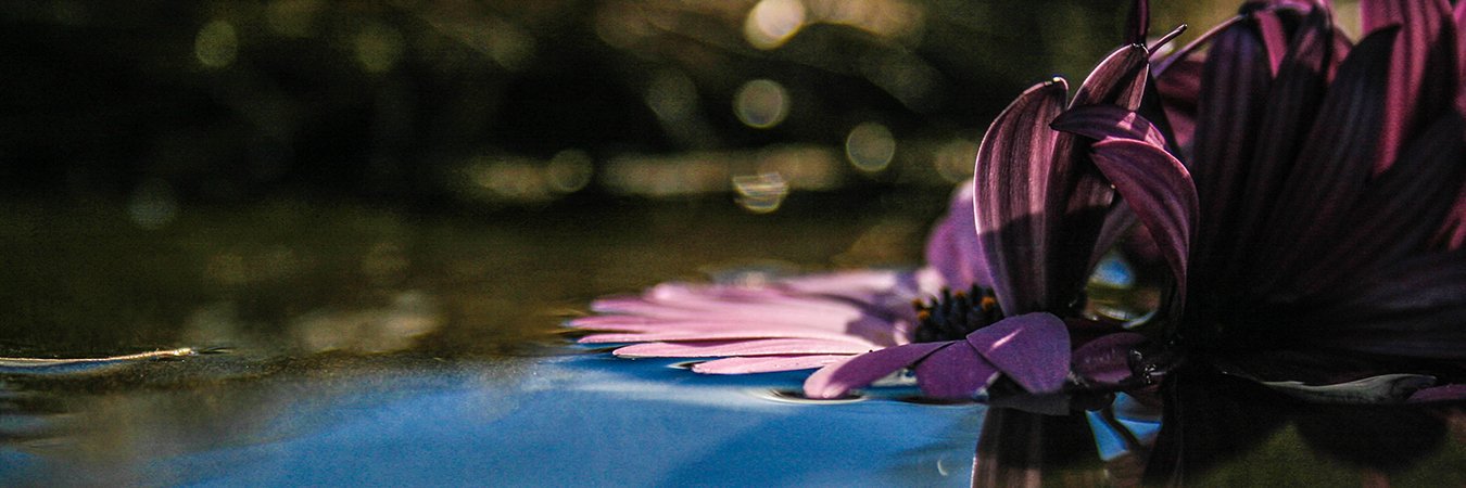 danzbegood's profile banner image