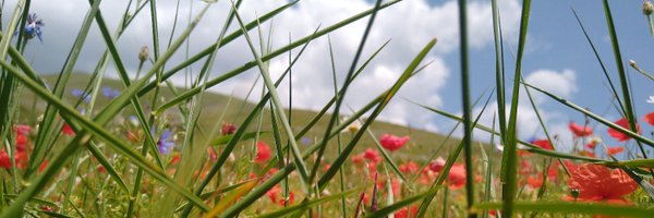 CStajano Profile Banner