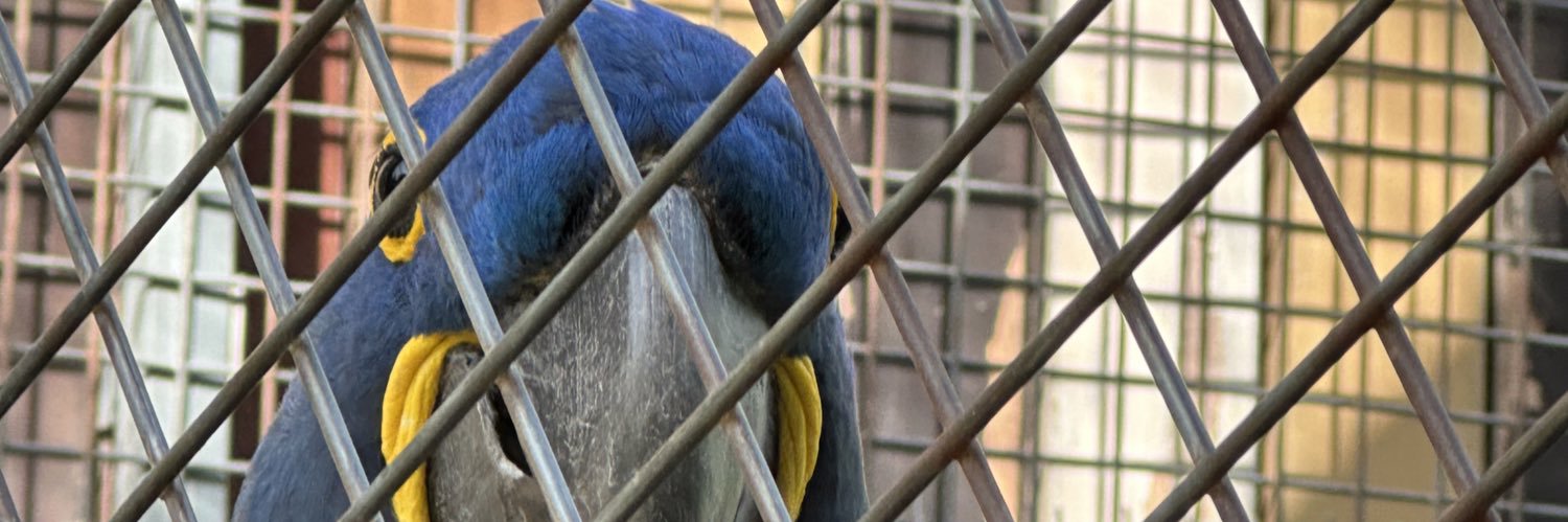 sirventmarc's profile banner image