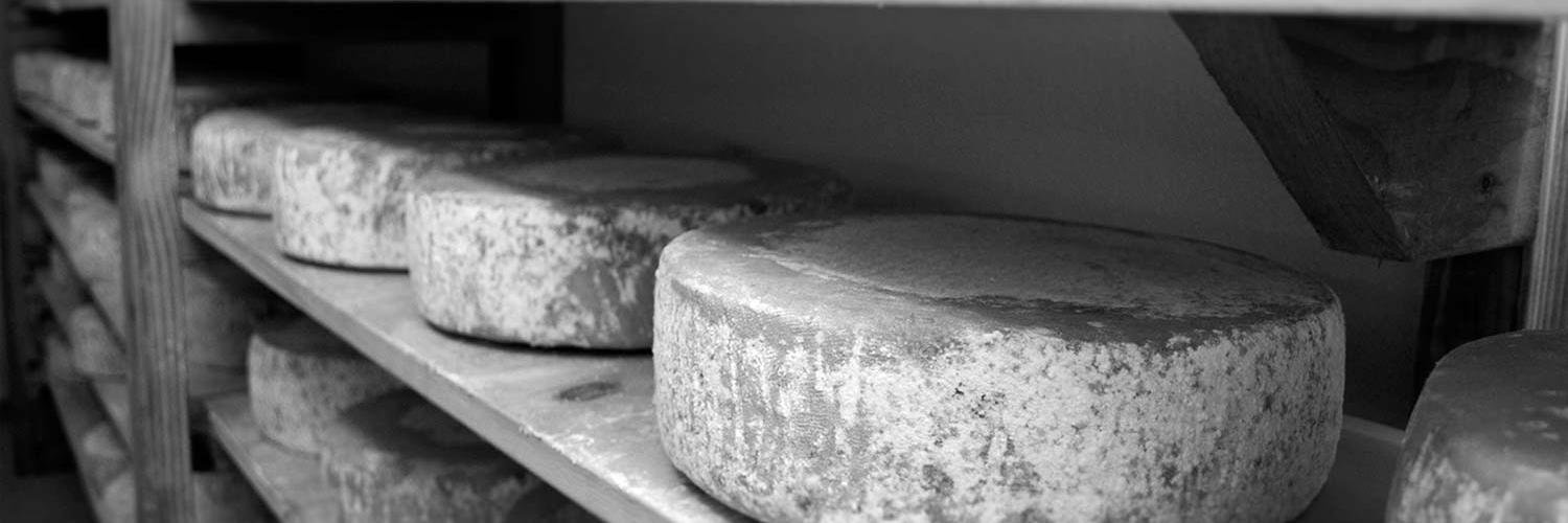 VFCheeseCo's profile banner image