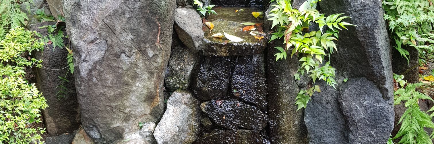 Carlos Fdo Forero banner