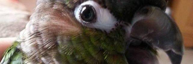 lindsbeeee's profile banner image