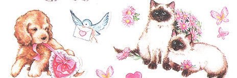 ALAlNAONElLL's profile banner image