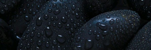 MamboTacue's profile banner image