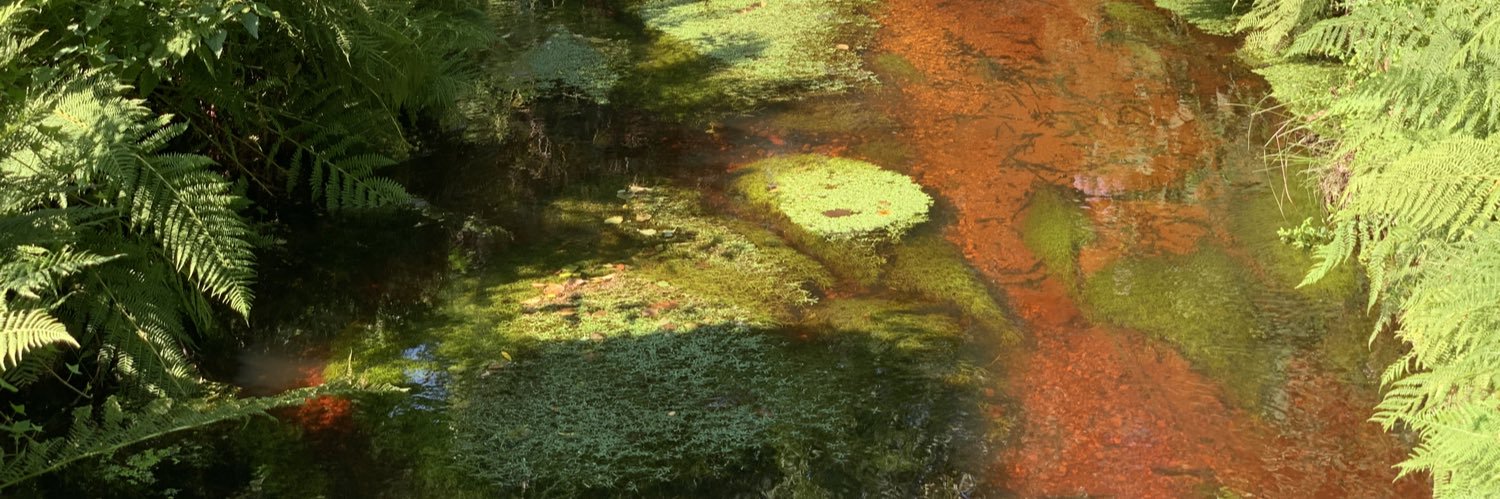 Fman banner