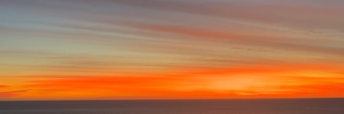 phebewarner1's profile banner image