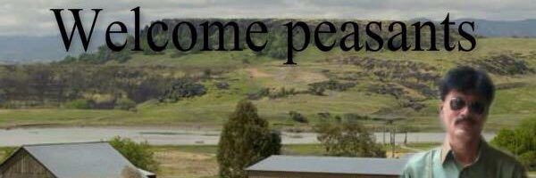 WillRonaldJones's profile banner image