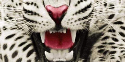 Gökhan Karakuş banner