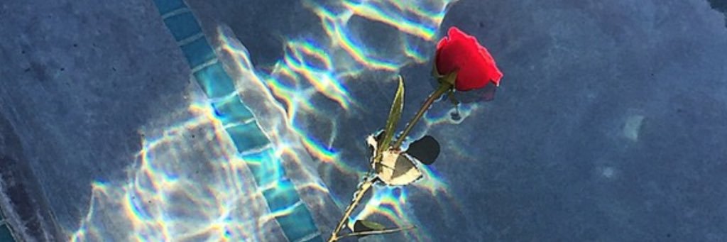 prayformilo's profile banner image