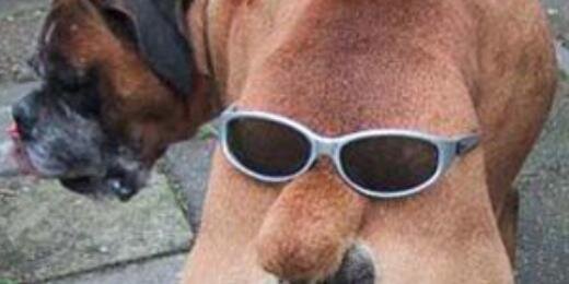 elrepasador's profile banner image
