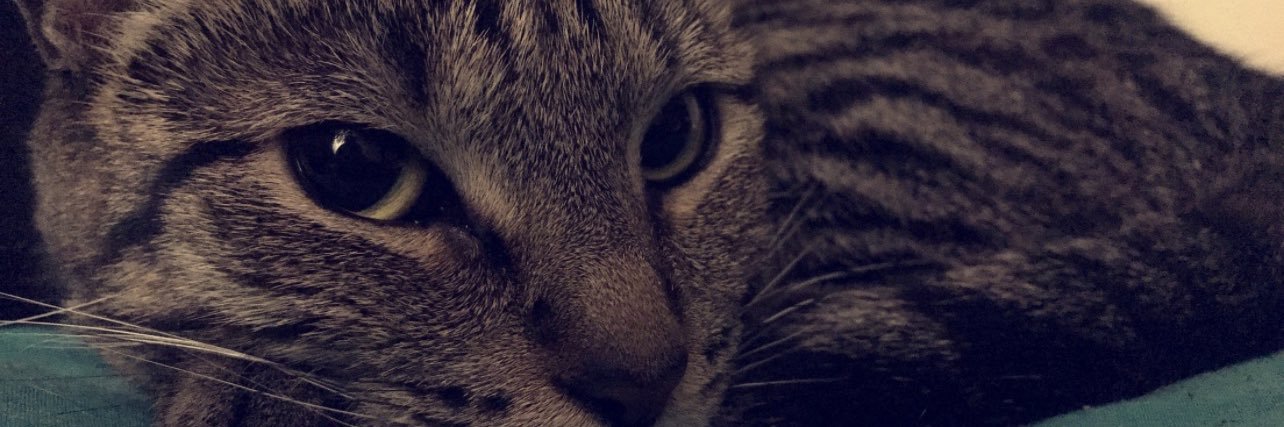 KeidyRuby's profile banner image