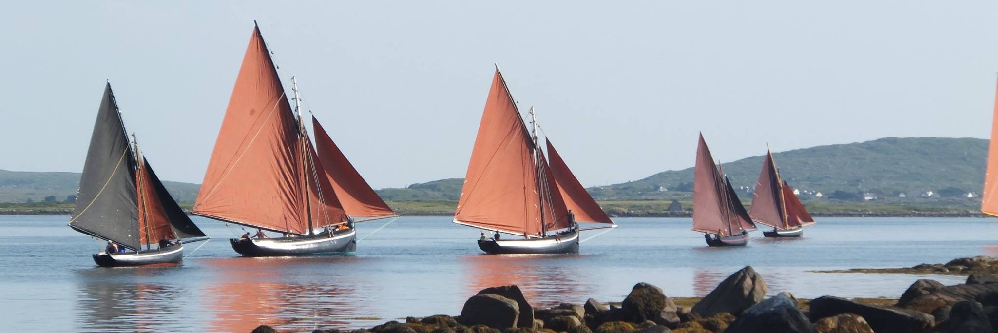 Colm Ó Neasa banner