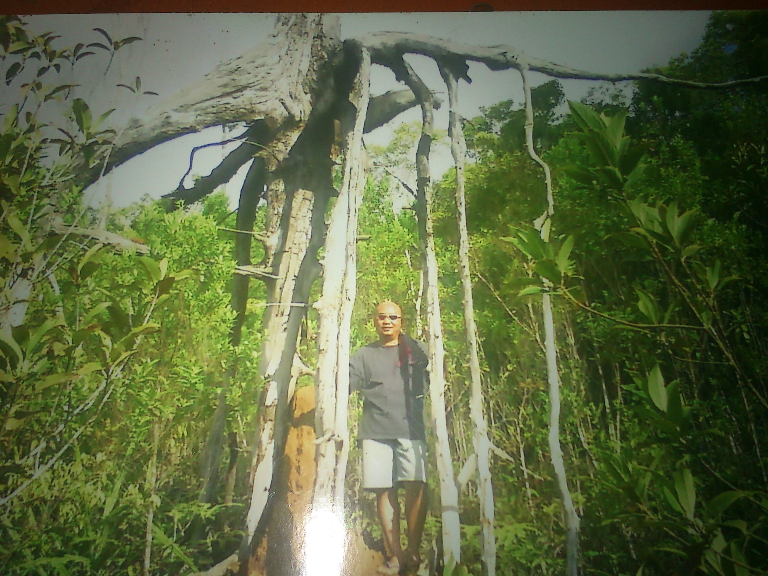 m00n_Randy's profile banner image