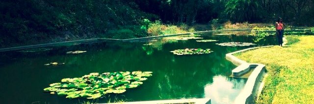 kelly_cb's profile banner image