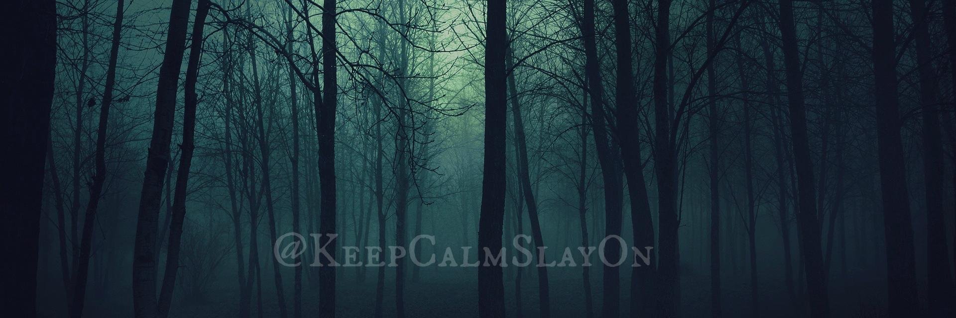 KeepCalmSlayOn's profile banner image