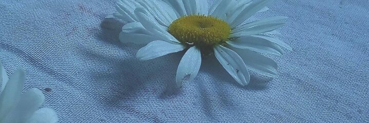 _Evvvv's profile banner image