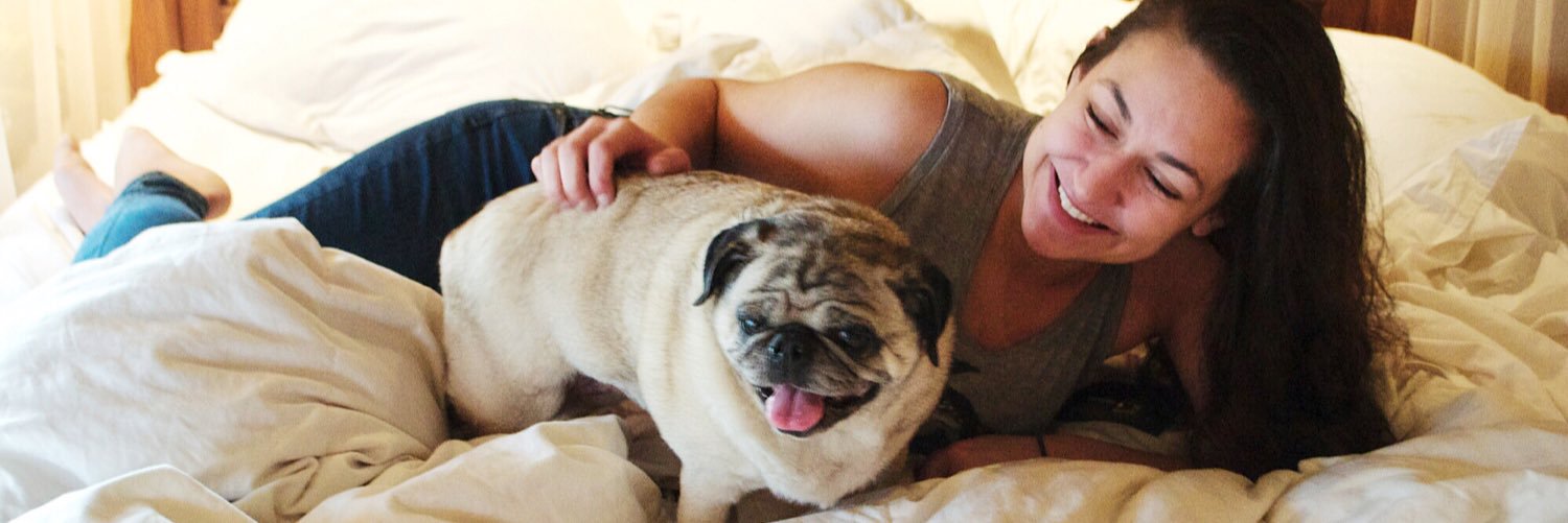 JulieNGelb's profile banner image