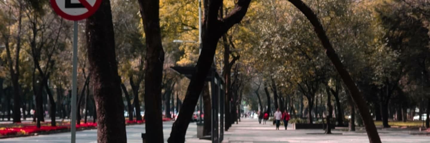 Eliizabeth_H's profile banner image