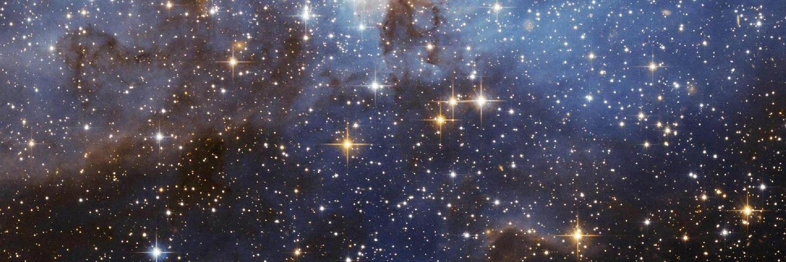 Mikan Ghoulkiwi banner