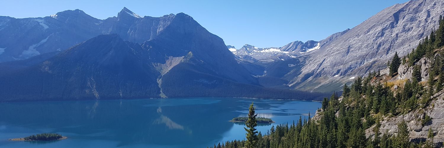 ₿₿oi 👻 banner