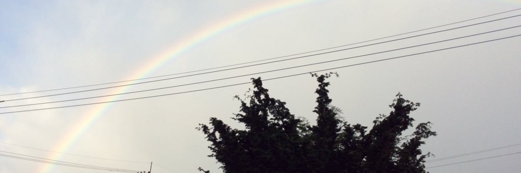 marusyokb's profile banner image