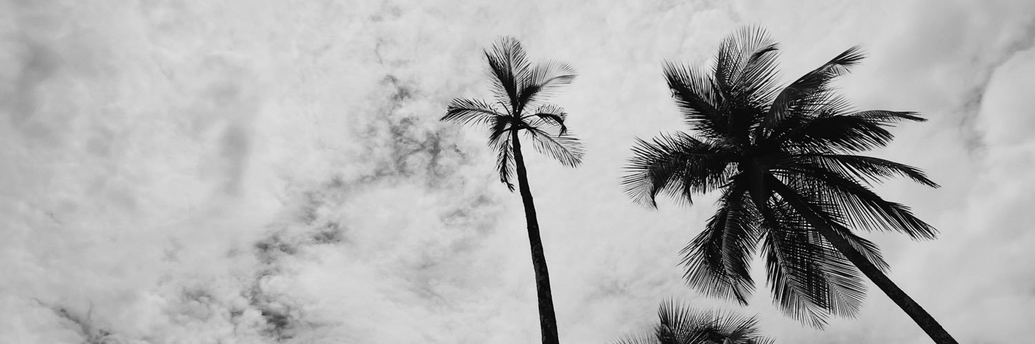 alonsoarcer's profile banner image