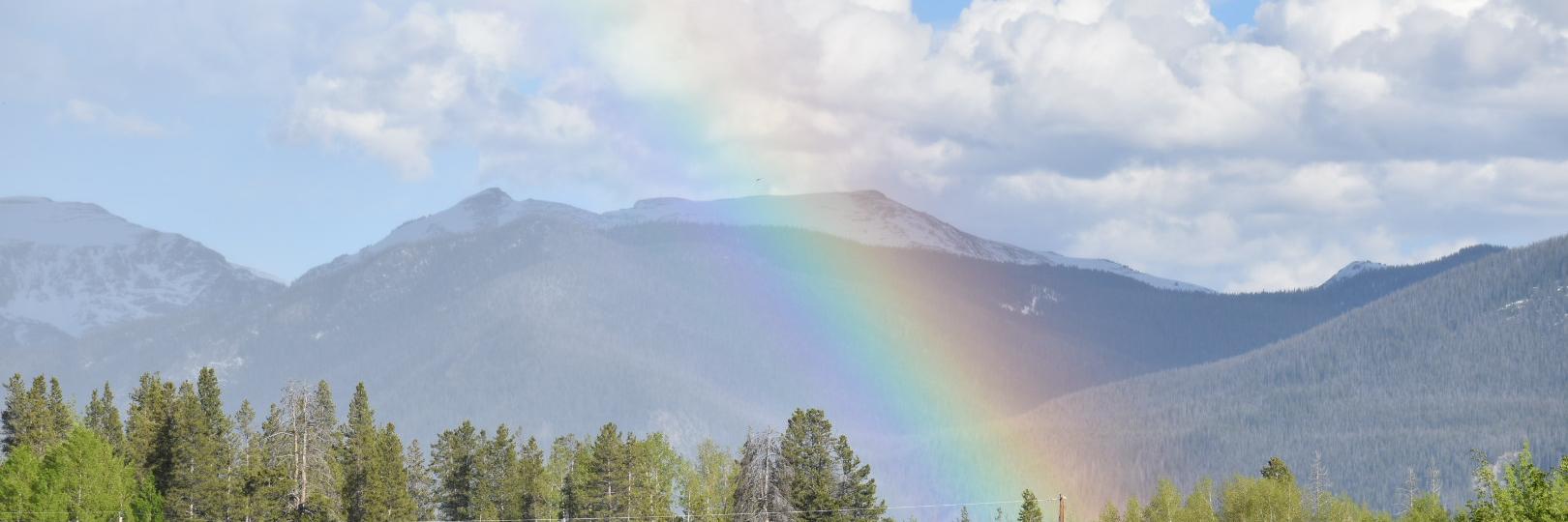 C3Courtney's profile banner image