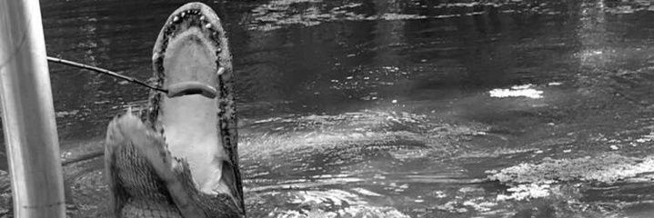 MPR_72's profile banner image