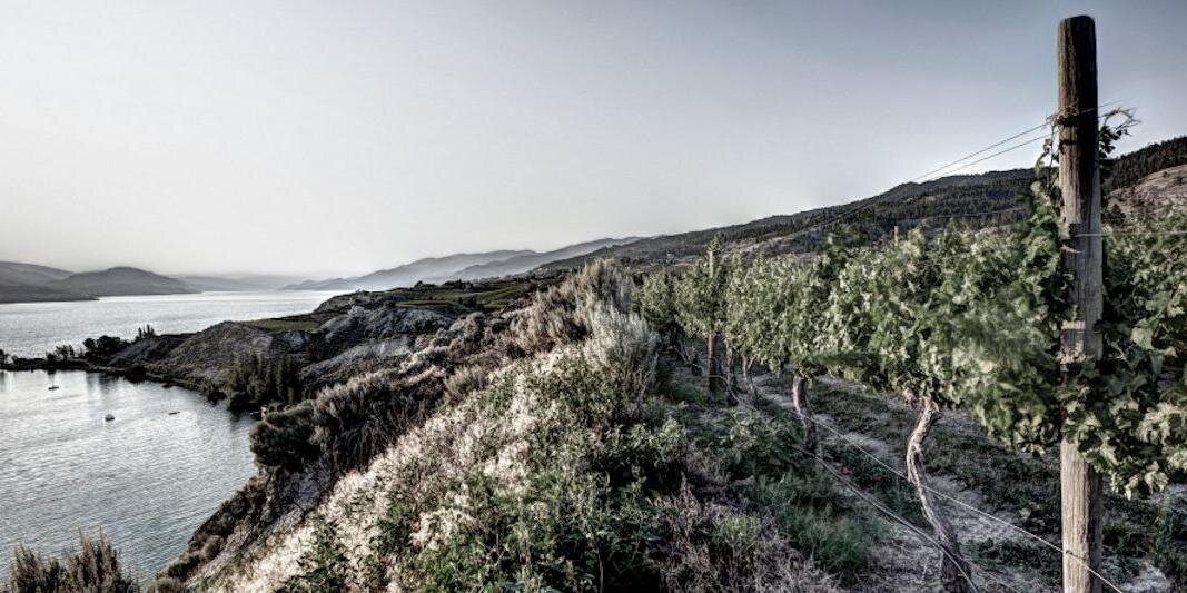 Lock & Worth Winery banner