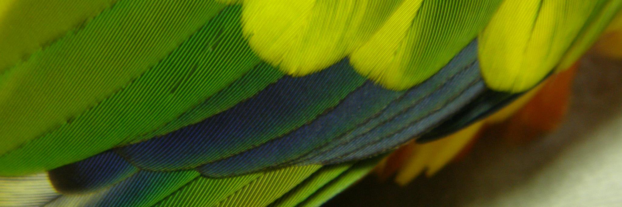 takebo_bird's profile banner image