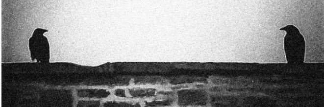 sijonson's profile banner image