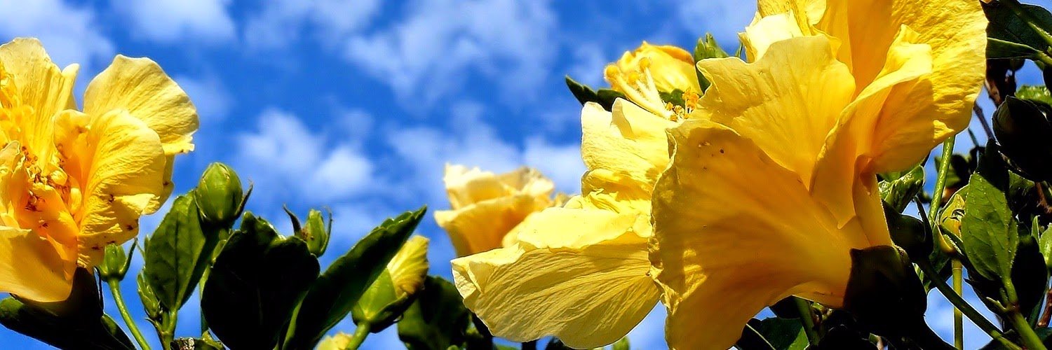 MichelleGeery's profile banner image
