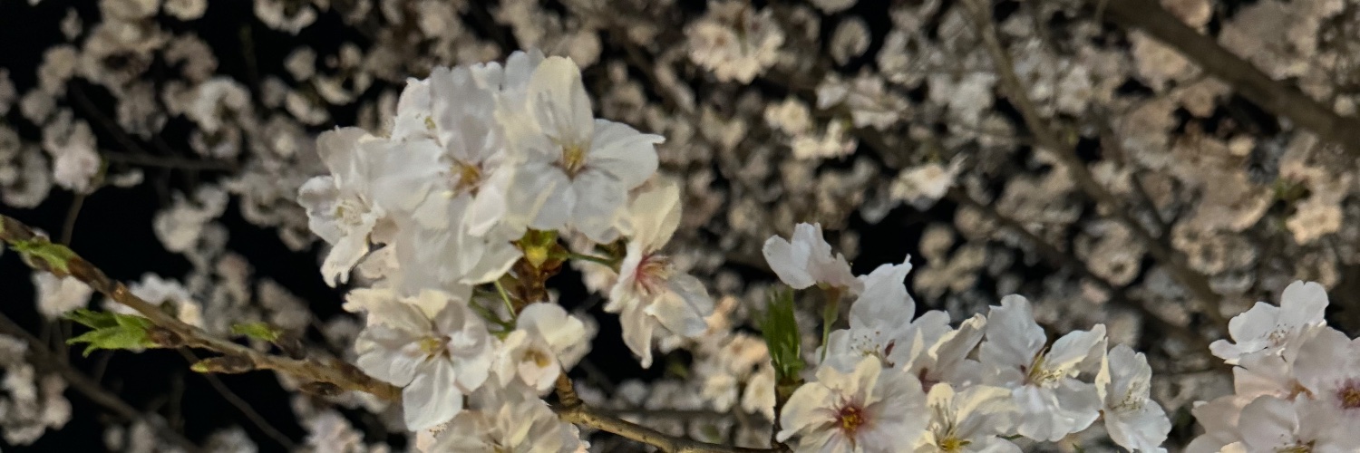 patrice_freeman's profile banner image
