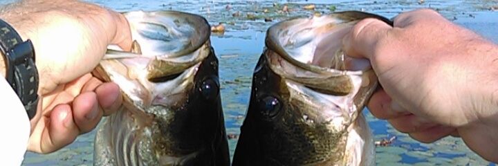 alexmoore174's profile banner image