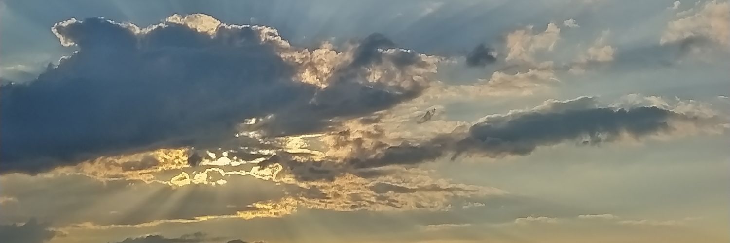 silaa1144's profile banner image