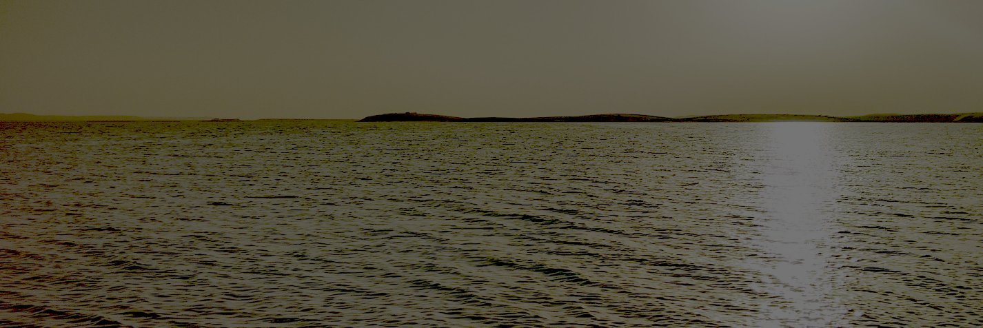 Felipe Schmidt Fonseca banner