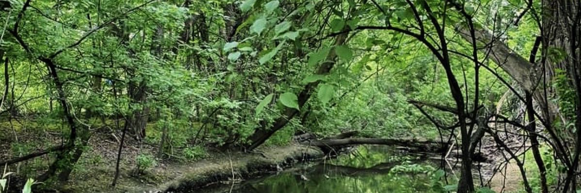 marcymac69's profile banner image