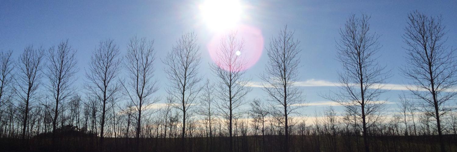 SGlinvad's profile banner image