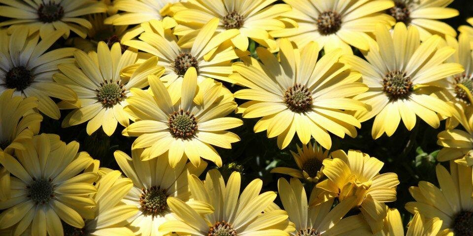 HuonFarms's profile banner image