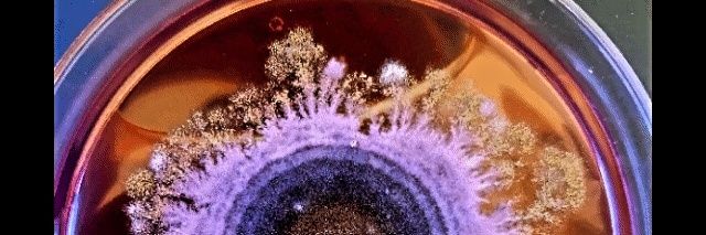 AndresAD81's profile banner image