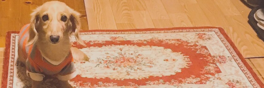 1752424's profile banner image