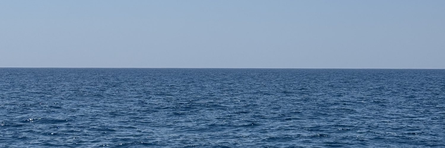 anttibee's profile banner image