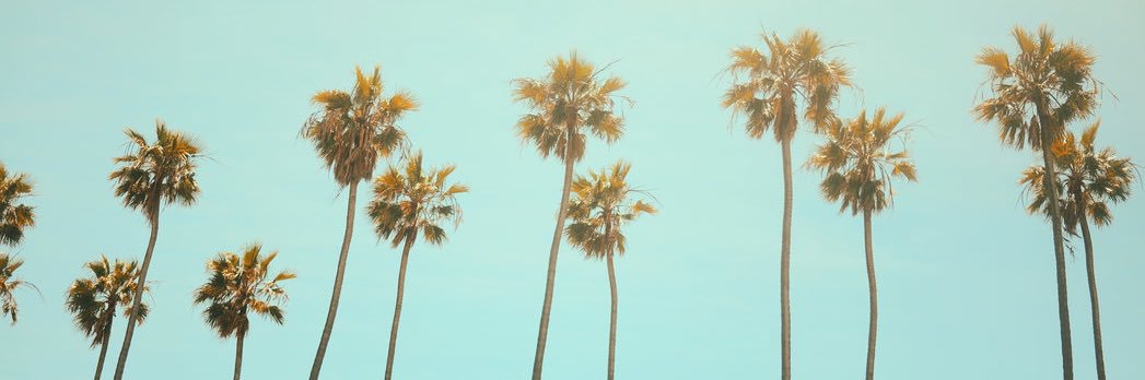 shelbs3207's profile banner image