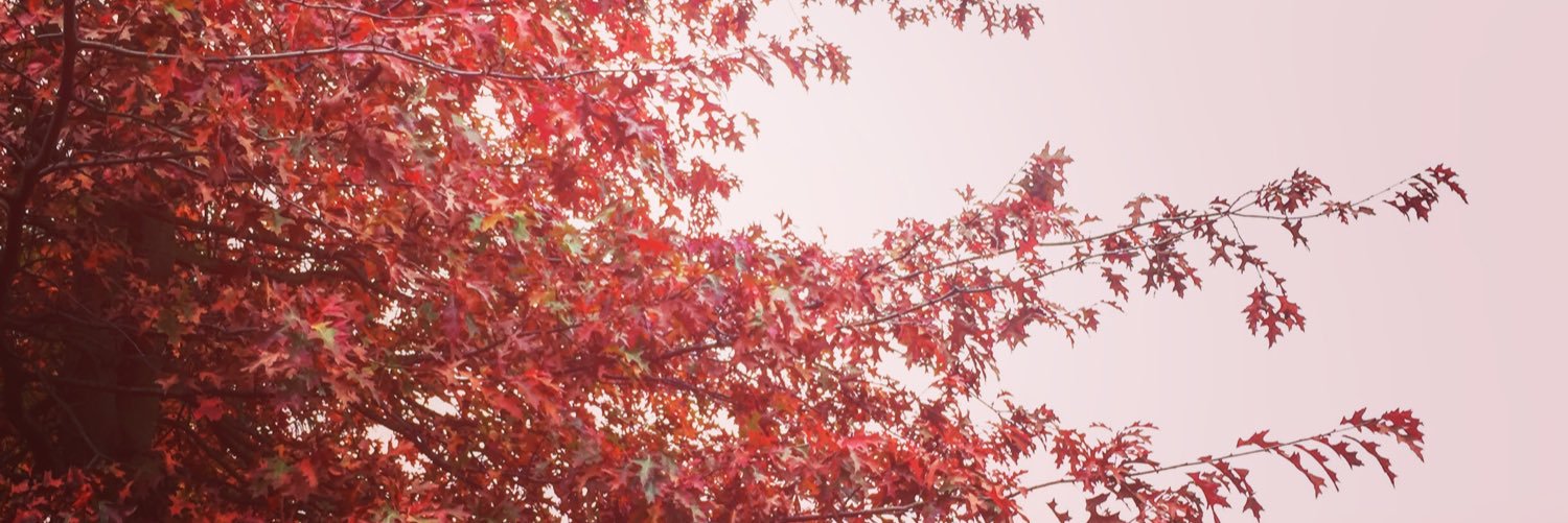 AxPeeraer's profile banner image