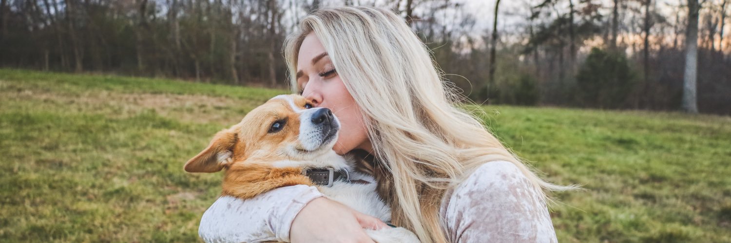anna_ascott's profile banner image